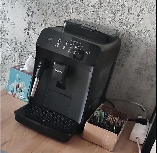 Art Apartament Płock